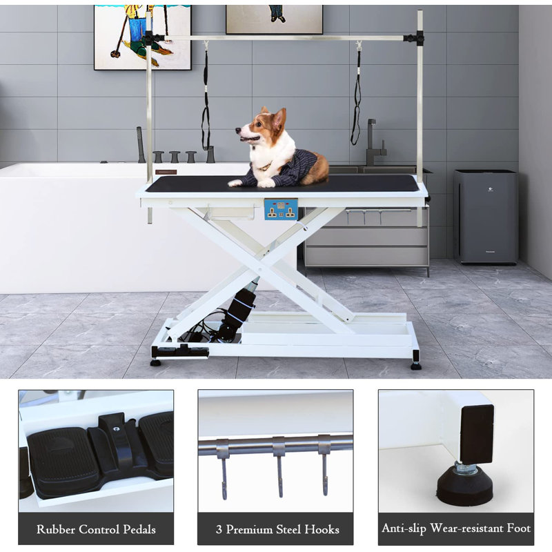 SoarFlash Electric Lift Pet Grooming Table Wayfair